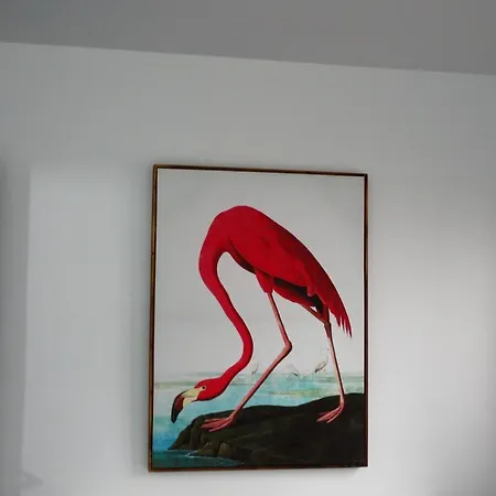 Sauco Apartment *